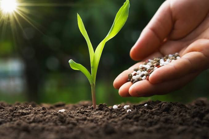 Nutrição e Fertilização Inteligente